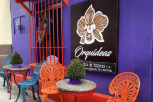 Orquídeas Café